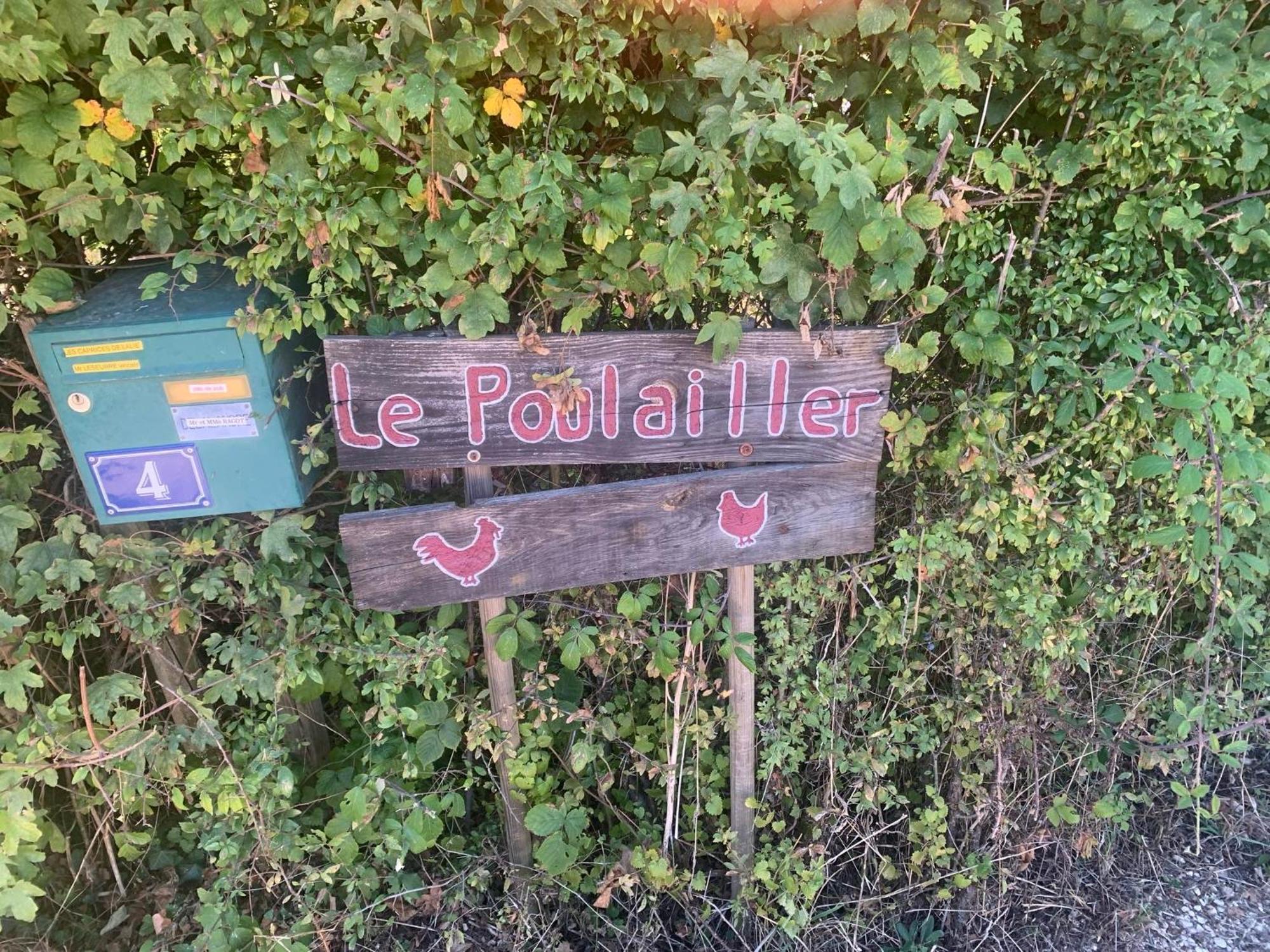 Logement Independant Le Poulailler Proche Guedelon Treigny Exterior photo